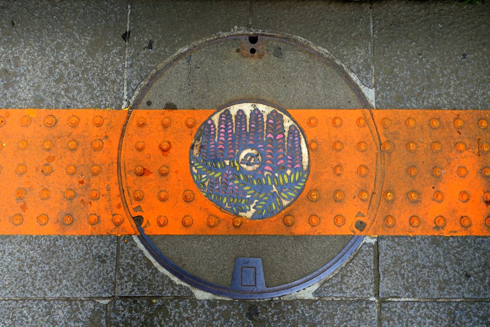 Manhole cover - Enoshima, Japan - DSC07817