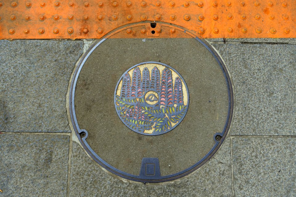 Manhole cover - Enoshima, Japan - DSC07822