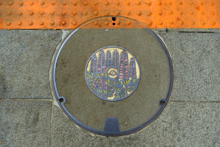Manhole cover - Enoshima, Japan - DSC07822