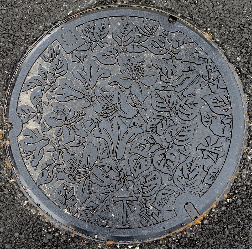 Manhole cover - Takayama, Gifu, Japan - DSC06665