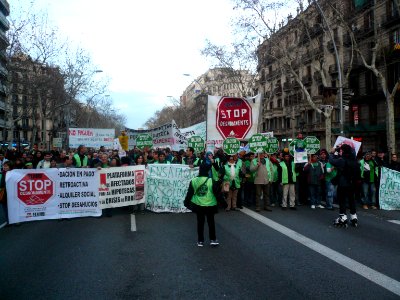 Mani Barcelona PAH 16-F 2013 (2)