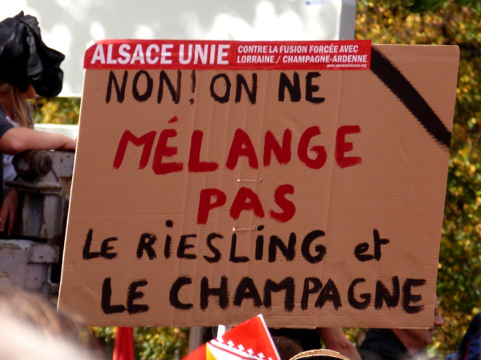 Manifestation contre la réforme territoriale le 11-10-2014 (7)