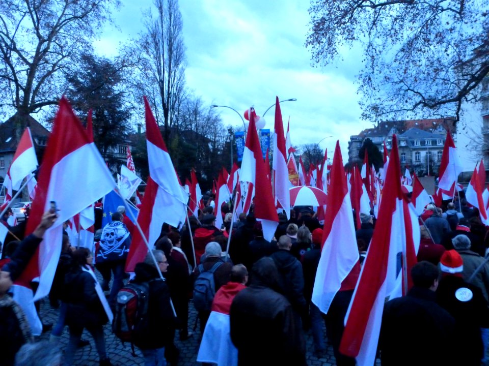 Manifestation contre la réforme territoriale 13-12-2014 33