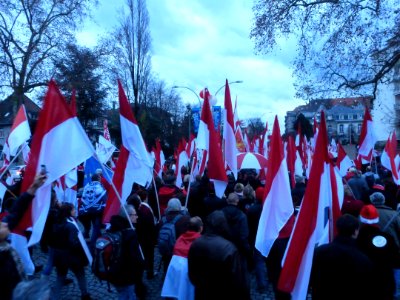 Manifestation contre la réforme territoriale 13-12-2014 33