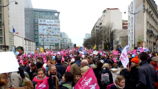 Manif pour tous 13 janvier 2013, boulevard Pasteur 2