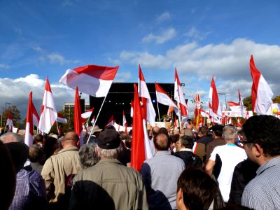 Manifestation contre la réforme territoriale le 11-10-2014 (10)