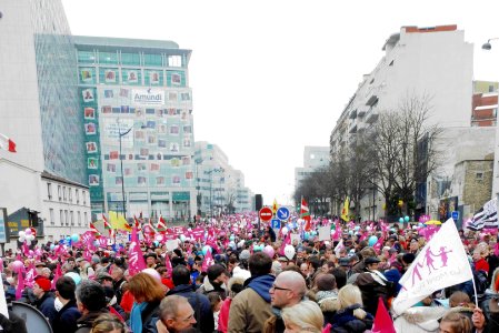 Manif pour tous 13 janvier 2013, boulevard Pasteur 1