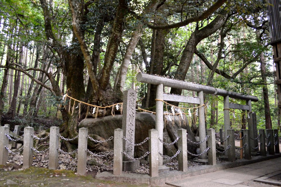 Manai-jinja (Kono-jinja okumiya) iwakura