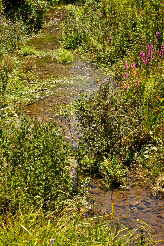 Manaurie Moulin-Haut Dordogne