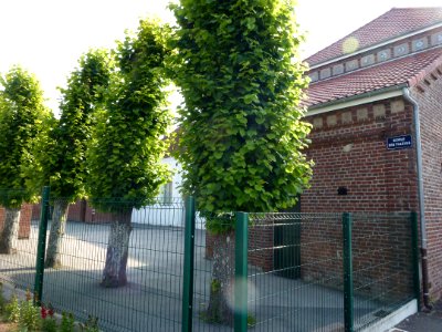 Mametz (Pas-de-Calais, Fr) école des Tilleuls