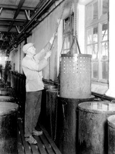Man bij de conserveringsbakken, Bestanddeelnr 189-0675