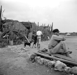 Man bij een cunucu-huisje, waarschijnlijk op Curaçao, Bestanddeelnr 252-3438
