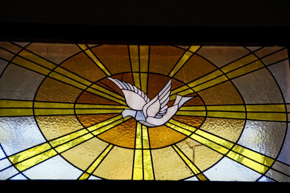 Church window stained glass peace dove