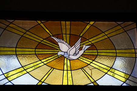 Church window stained glass peace dove