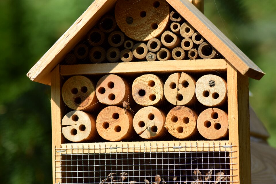 Insect house hotbed insect protection