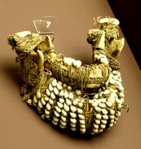 Man's lower jawbone, Kaub, Northeastern New Guinea, 1911 - Südseeabteilung - Ethnological Museum, Berlin - DSC01003
