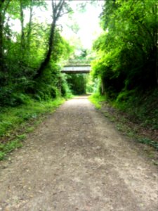 Mamers (Sarthe) voie verte du Saosnois (01)