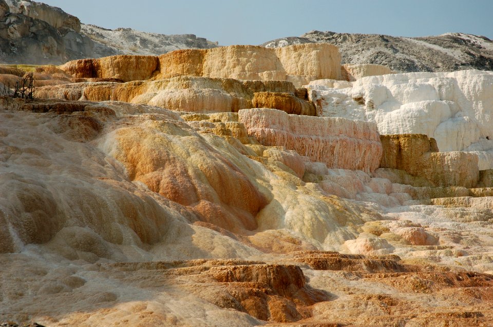 Mammoth Hot Springs (2)