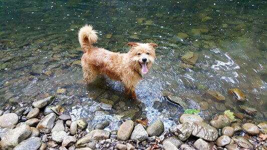 Happy nature river photo