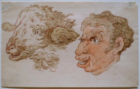 Man's head and sheep's head, by Thomas Rowlandson, undated, pen and ink, wash, over graphite on paper - Princeton University Art Museum - DSC06574