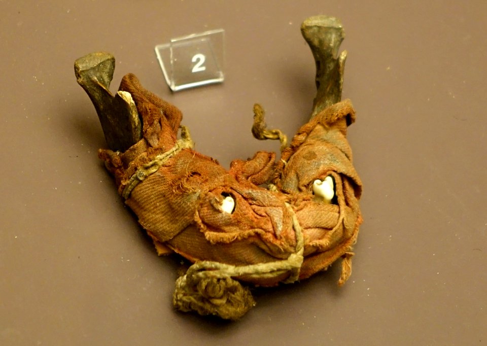 Man's lower jawbone, Puluga, New Britain, 1909 - Südseeabteilung - Ethnological Museum, Berlin - DSC00997