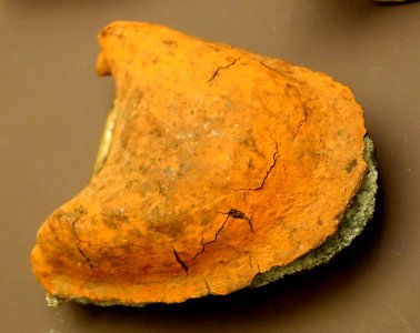 Man's lower jaw with putty from a nut, Gazelle Peninsula, New Britain, 1899 - Südseeabteilung - Ethnological Museum, Berlin - DSC01001