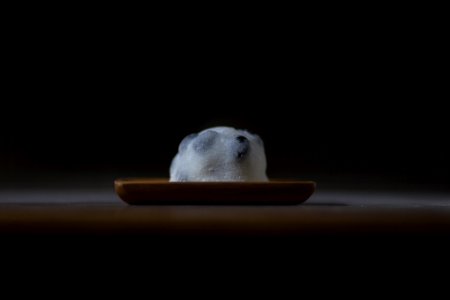 Mamedaifuku Japanese Confectionery (139873011)