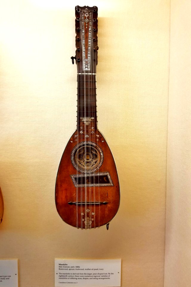 Mandolin, Genoa, Italy, early 1800s, rosewood, spruce, fruitwood, mother-of-pearl, ivory - Casadesus Collection of Historic Musical Instruments - Boston Symphony Orchestra - 20190927 110632