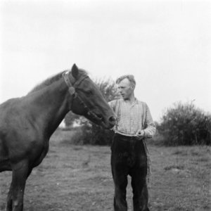 Man met een paard, Bestanddeelnr 900-7368