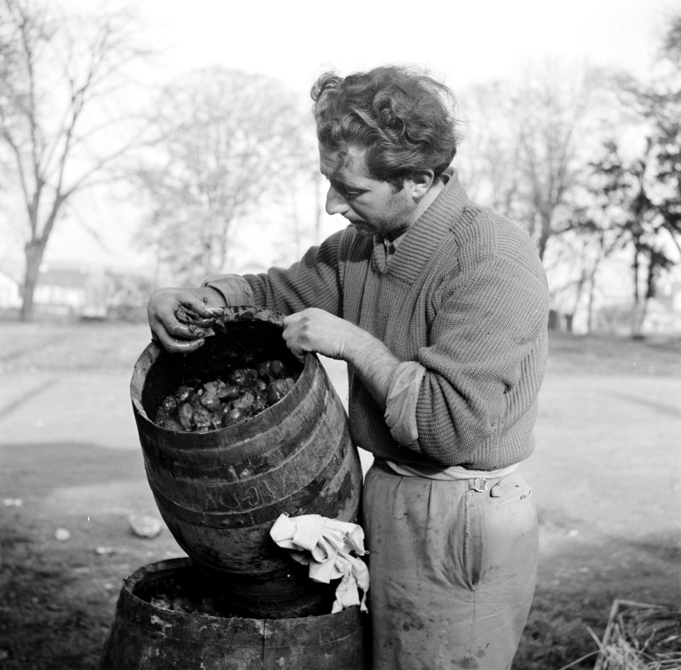 Man met een vat met kolen, Bestanddeelnr 252-9478