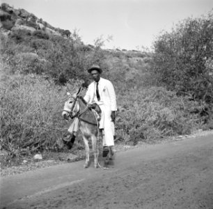 Man op een ezel op Curaçao, Bestanddeelnr 252-7379