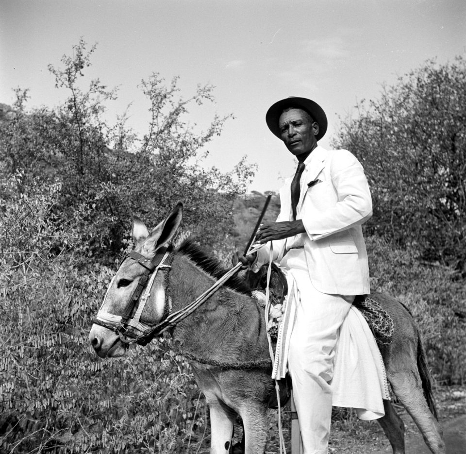 Man op een ezel op Curaçao, Bestanddeelnr 252-7381