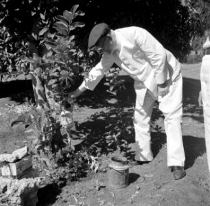 Man aan het werk op de plantage San Juan van Harry Maal op Curaçao, Bestanddeelnr 252-7540