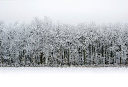 Winter cold ice