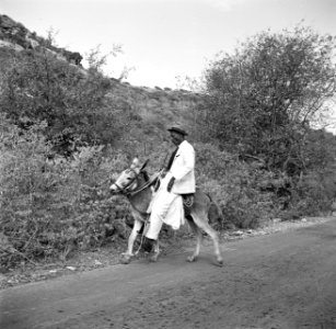 Man op een ezel op Curaçao, Bestanddeelnr 252-7380