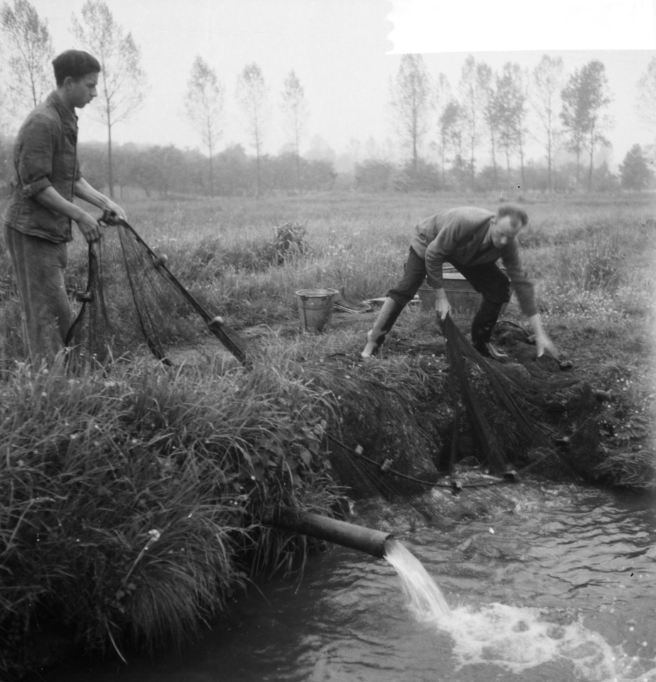 Man aan het werk bij een kweekvijver, Bestanddeelnr 918-3793