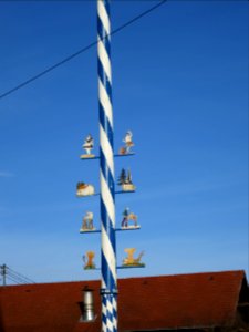 Maibaum Wettlkam
