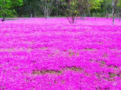 High rise building courtyard tokyo photo