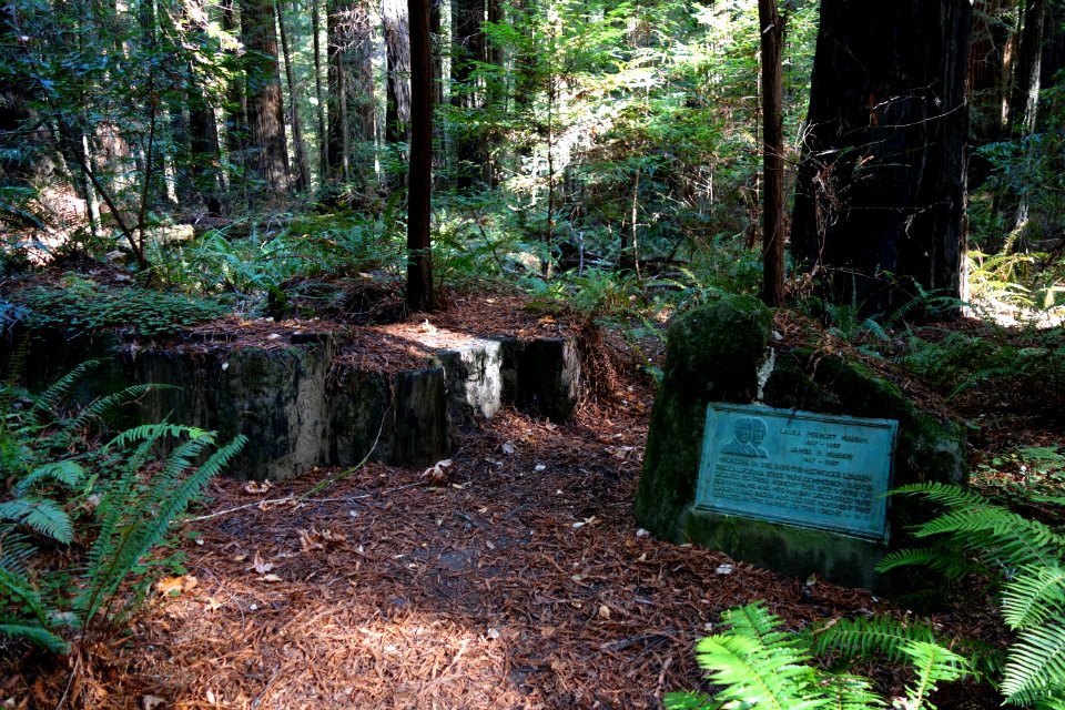 Mahan Plaque - Humboldt Redwoods State Park - DSC02460