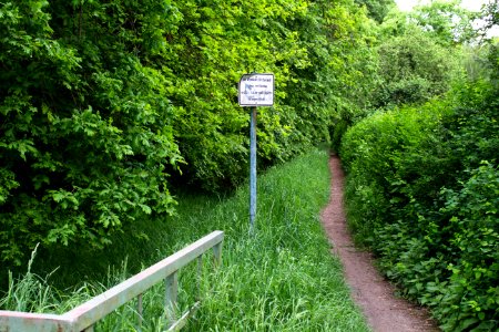Mahlower Seegraben 20140506 39