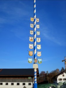 Maibaum Oberelkofen