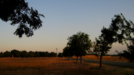 Maghrebi mausoleum way to Khayyam Blv - outskirt of Nishapur 3