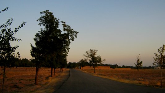 Maghrebi mausoleum way to Khayyam Blv - outskirt of Nishapur 6