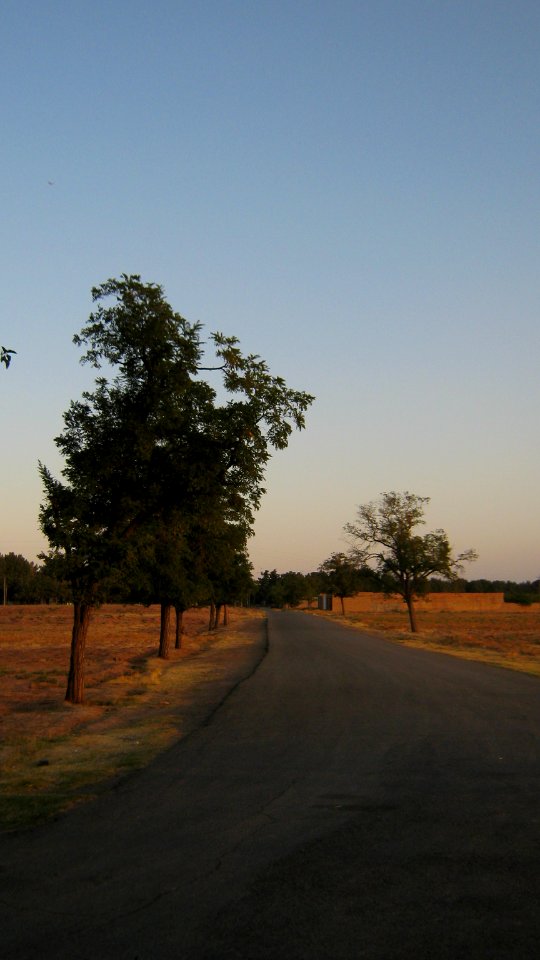 Maghrebi mausoleum way to Khayyam Blv - outskirt of Nishapur 5