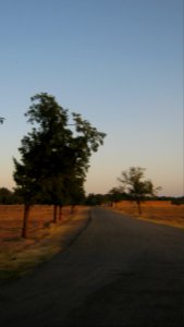 Maghrebi mausoleum way to Khayyam Blv - outskirt of Nishapur 5