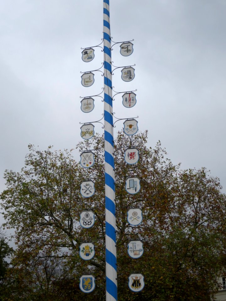 Maibaum Wiener Platz München