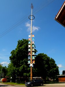 Maibaum Siebnach 2016
