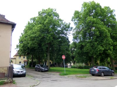 Maienplatz 1–22 mit Maienweg 5–43 mit Hinter den Gärten