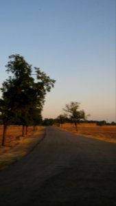 Maghrebi mausoleum way to Khayyam Blv - outskirt of Nishapur 4
