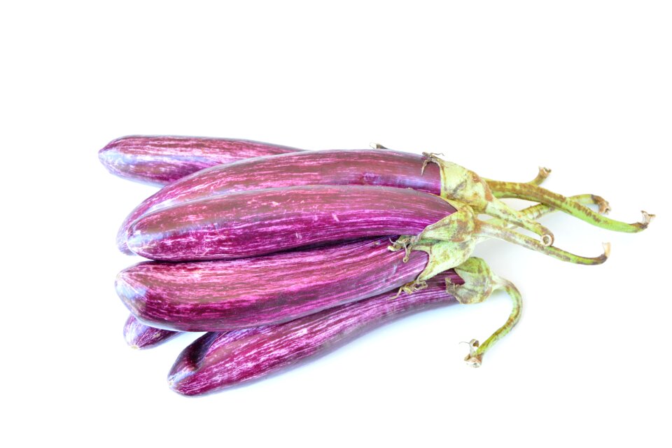 Eggplant vegetable food